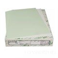 Бумага для самокопирующих бланков Giroform зеленого цвета А3+ 430х305 мм (500 листов) Средний слой - фото 6134